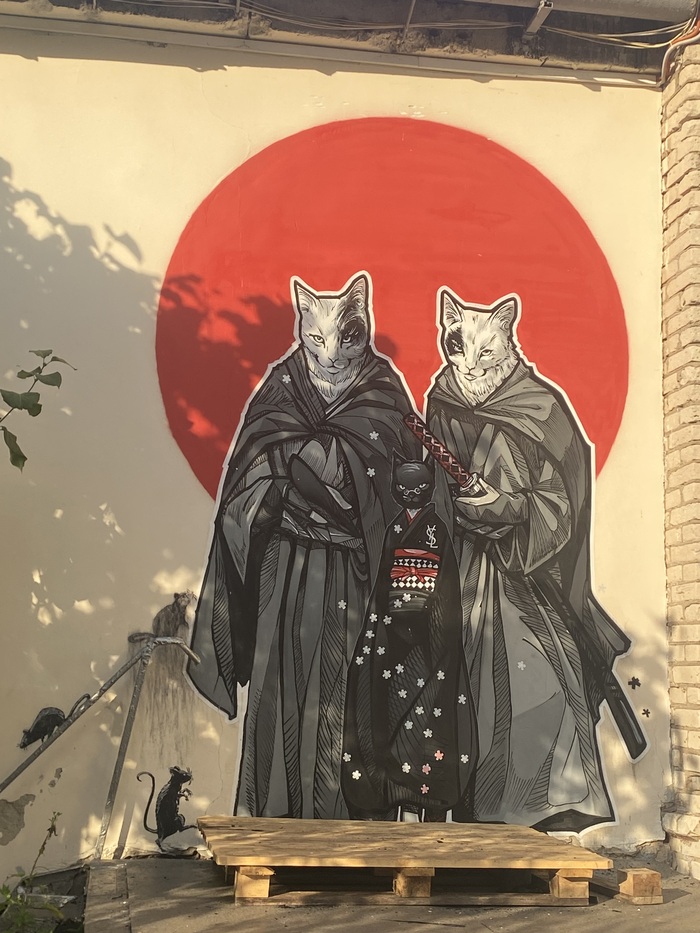 ���� �������, ������