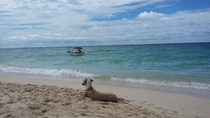 The island of Baru in the Caribbean is paradise, but I didn’t come for the beach - My, Travels, Drive, Tourism, Туристы, Island, Caribs, Caribbean Sea, Zoo, Birds, Aviary, Around the world, Colombia, Latin America, Cartagena, Longpost