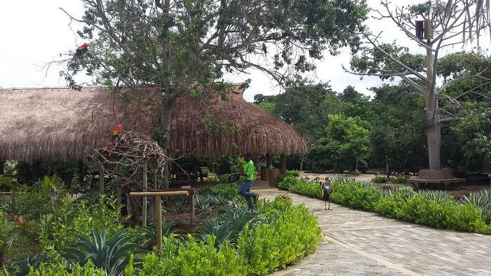 Во всем птичнике работники, птицы и я