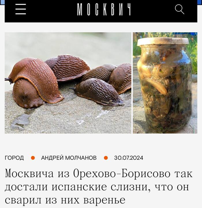 Bon appetit - Moscow, Food, Slug, Delicacy, Moskvich, Screenshot