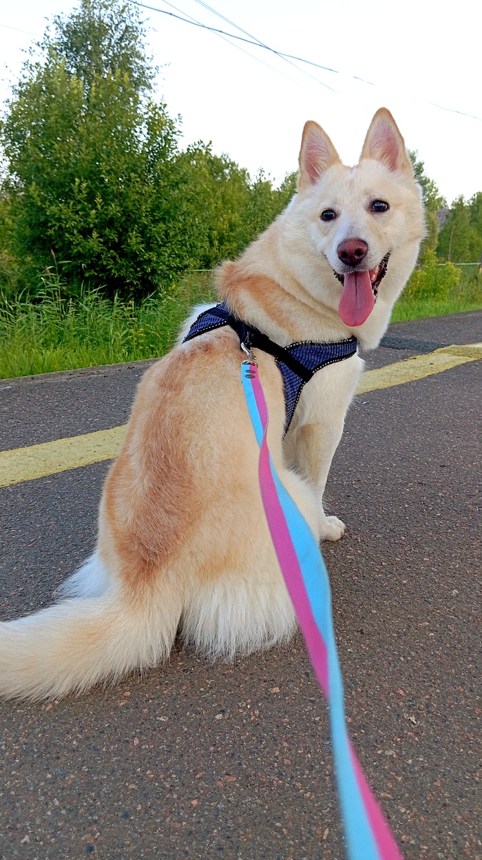 .   .      ,     .  .  -   .        ,     .