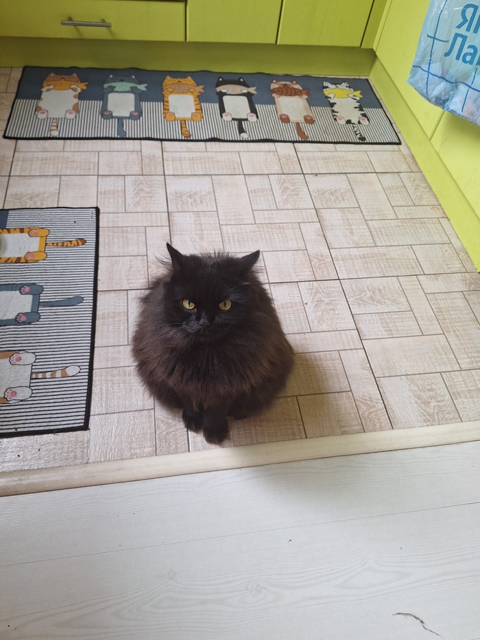 Покажите своих любимчиков!