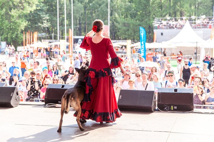 Показательные выступления