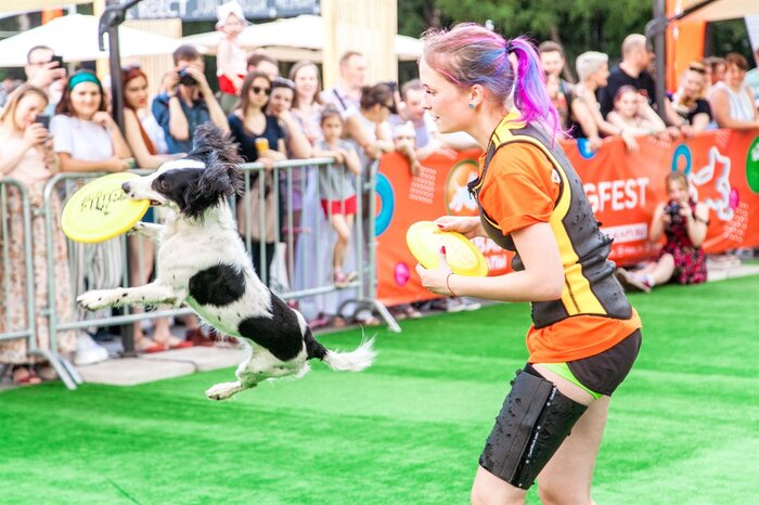 Трюки с животными