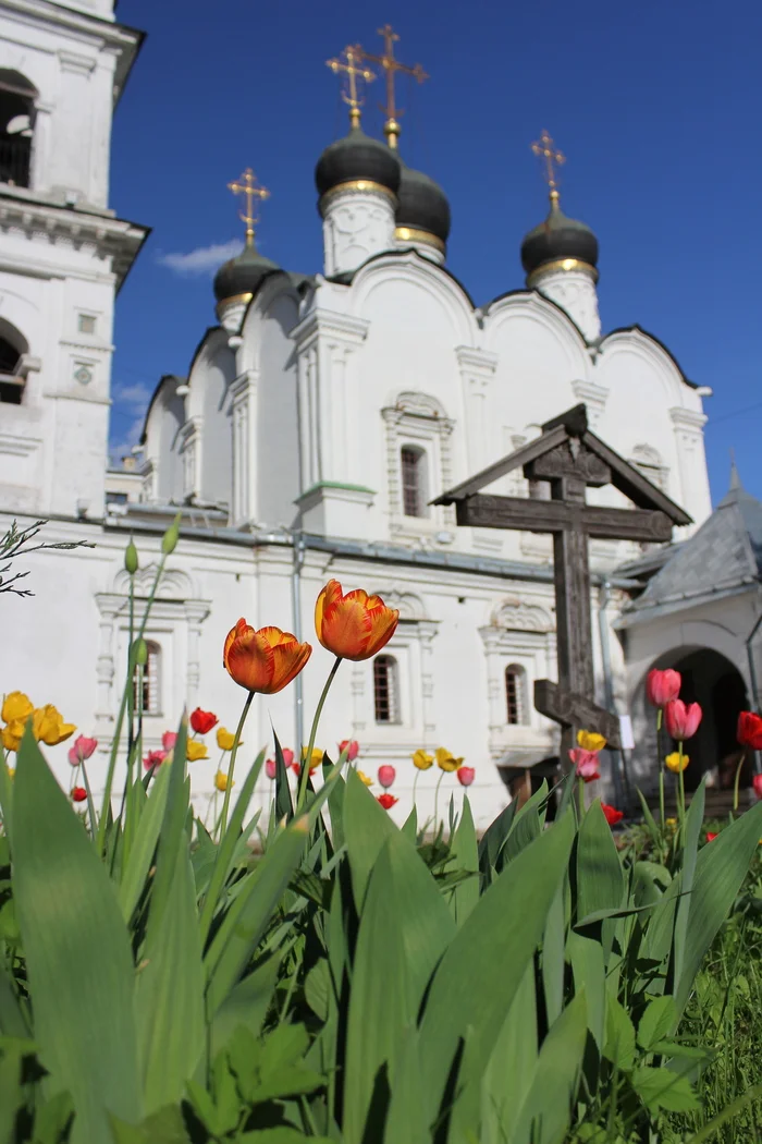 Святость жизни - Моё, Фотография, Москва, Церковь, Цветы