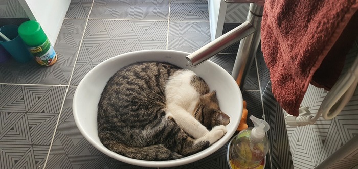 А чего? В раковине прохладней :)