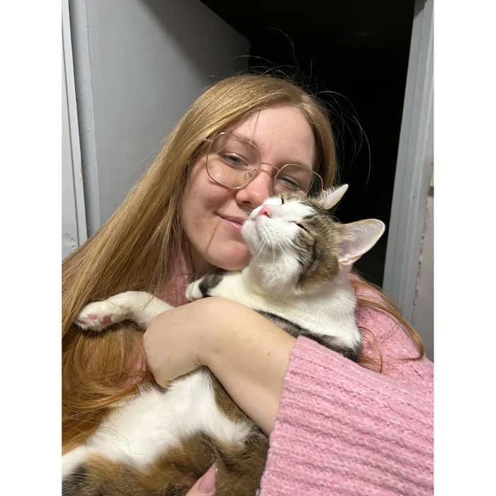 Greetings from princes and princesses - My, Animal shelter, Murkosh shelter, cat, Found a home, No rating, Positive, Touching, The photo, Helping animals, Youtube, Longpost