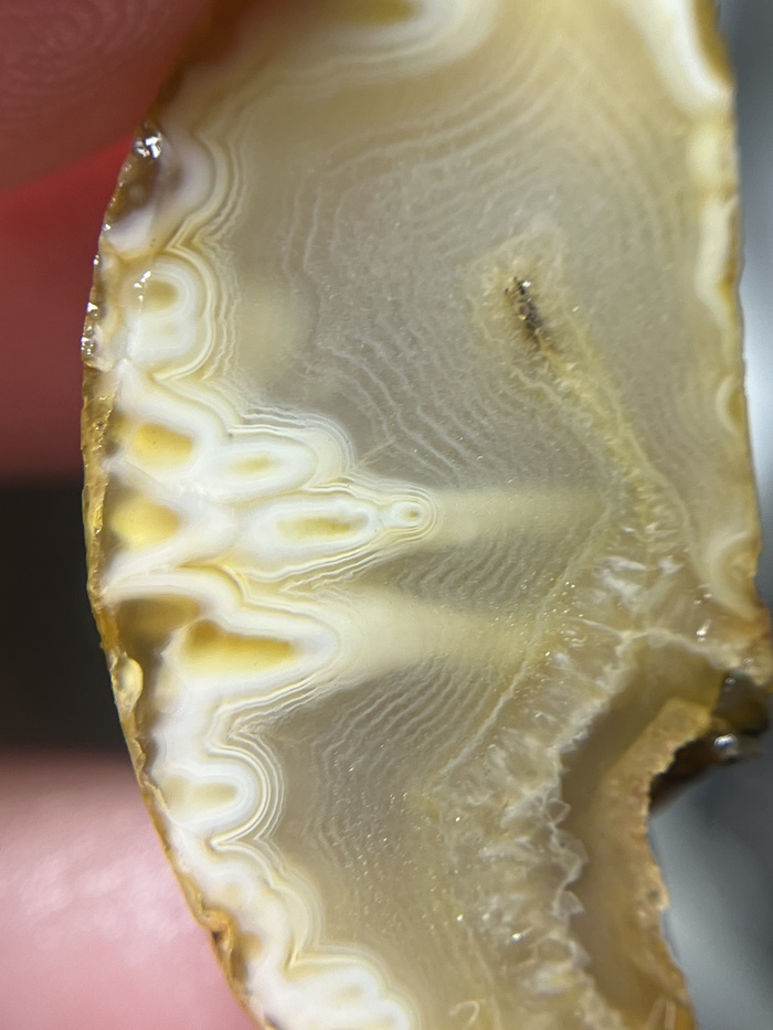 Первая половинка