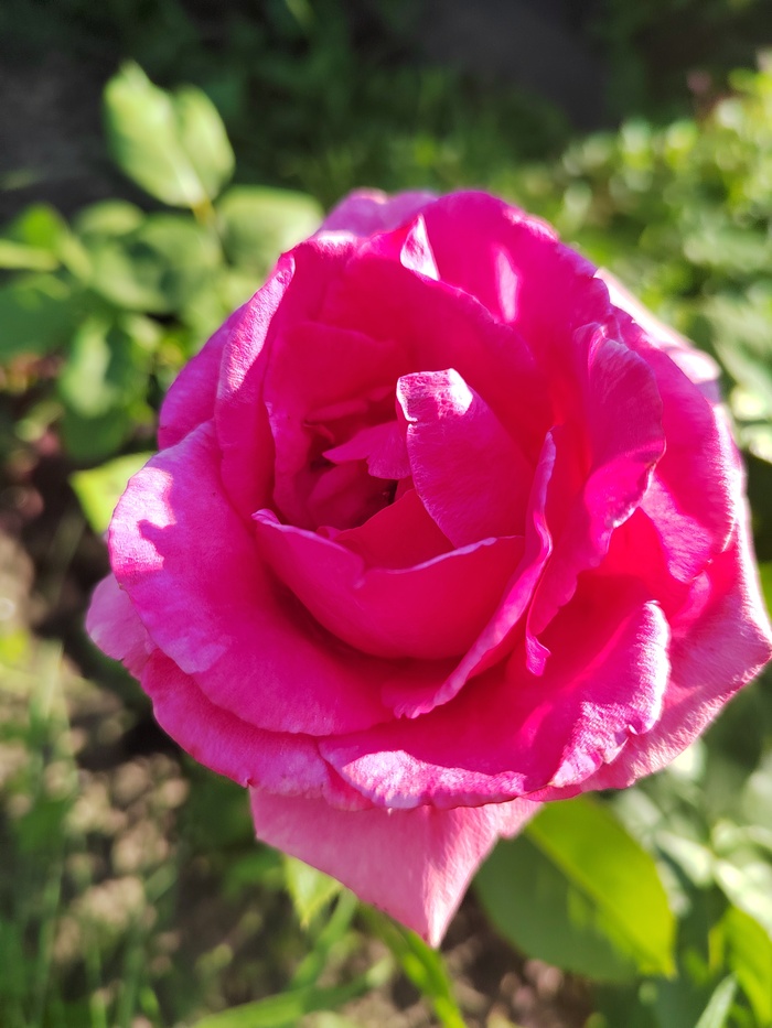 С днём рождения меня