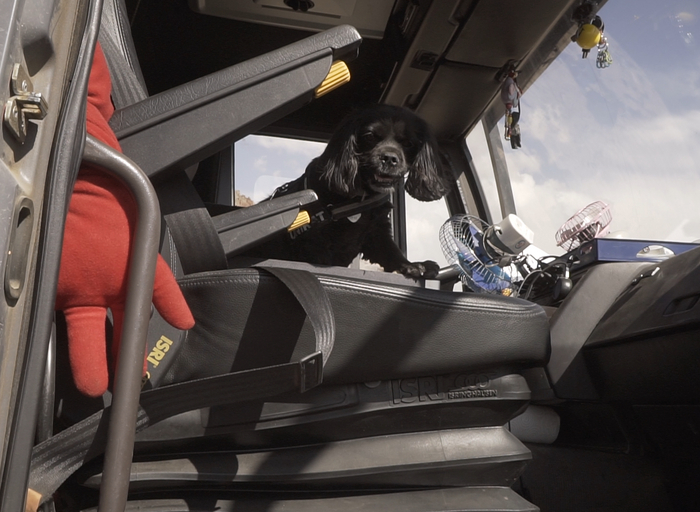 Пес-путешественник тоже рад гостям :)