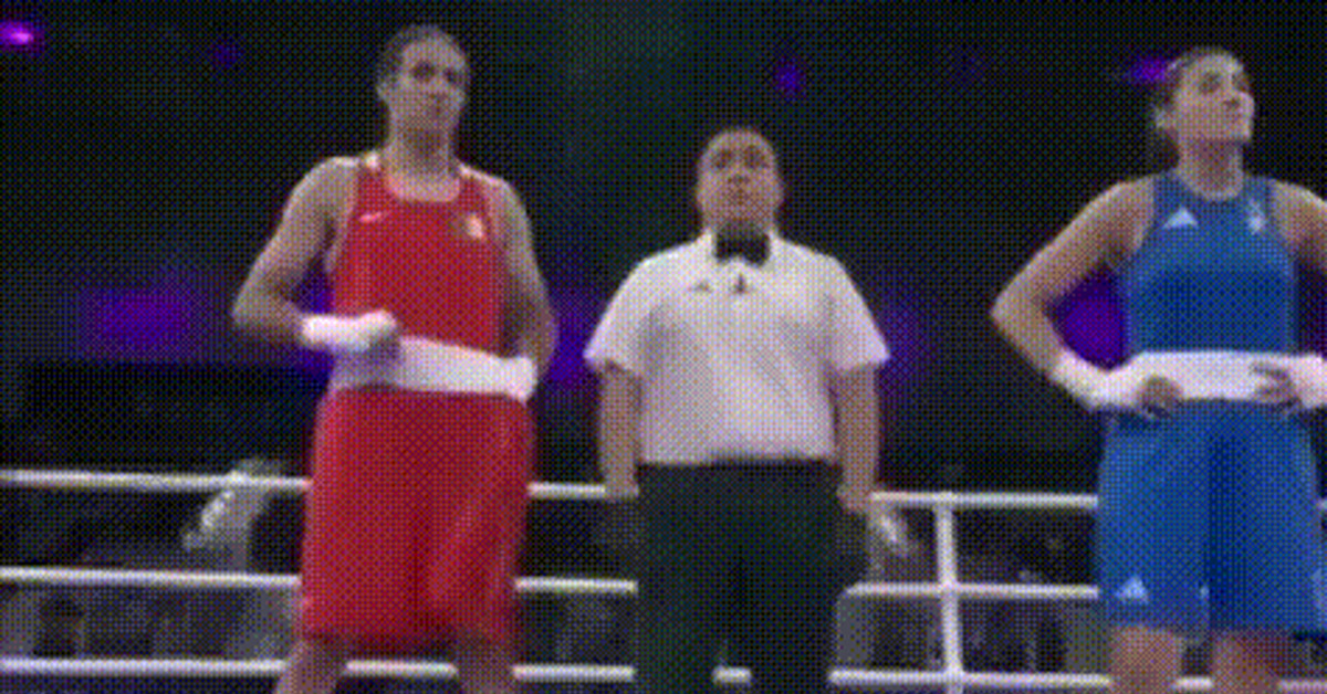 Reply to the post “The end of women's sports? Olympics France, Paris. Olympic Games 2024. Boxing - news, Society, Sport, Girls, Boxing, Olympic Games, Transgender, France, Paris, Screenshot, Twitter, Civil society, Men, Men and women, Feminism, Demography, Algeria, Italy, Video, Longpost, Mat, GIF, Reply to post, A wave of posts