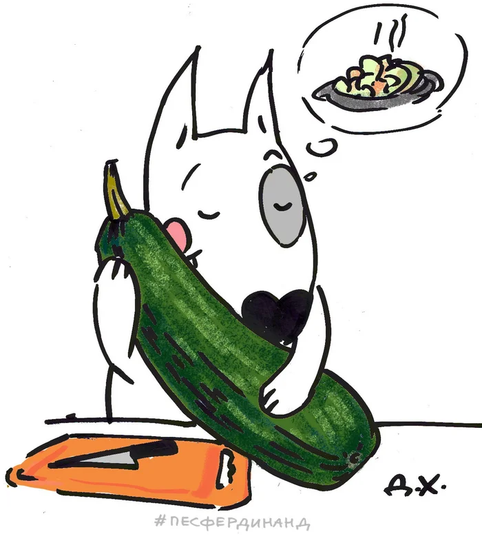 From love to hate 10 zucchini - My, Zucchini, Dog, Garden, Dacha, Longpost