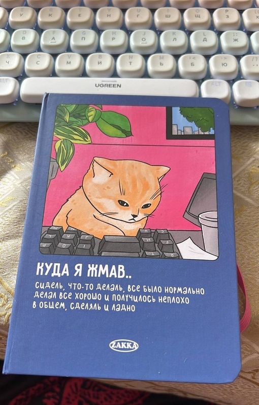    , , ,  , , 