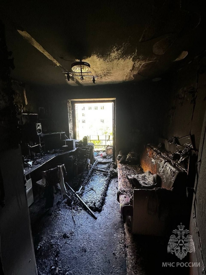 Ответ на пост «Вещдок»