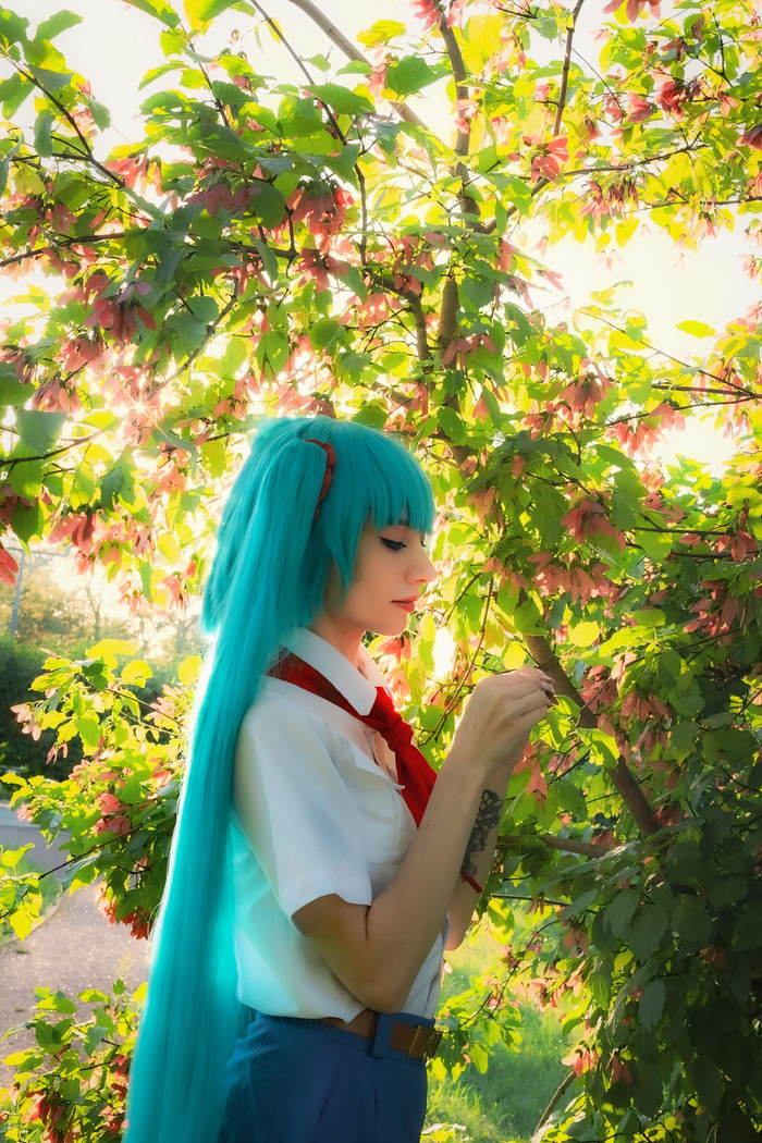      , ,   ( ), Hatsune Miku, , 