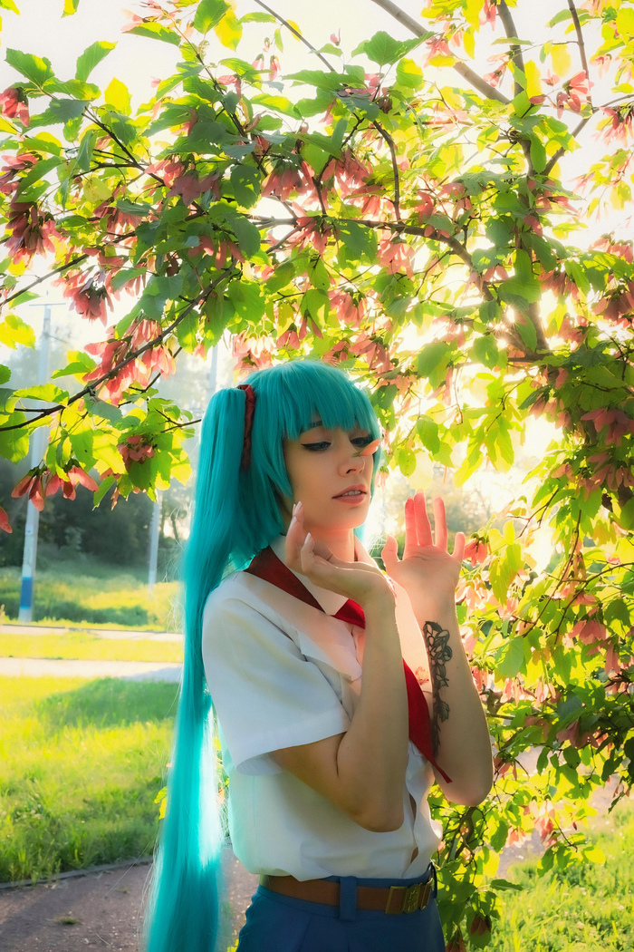      , ,   ( ), Hatsune Miku, , 