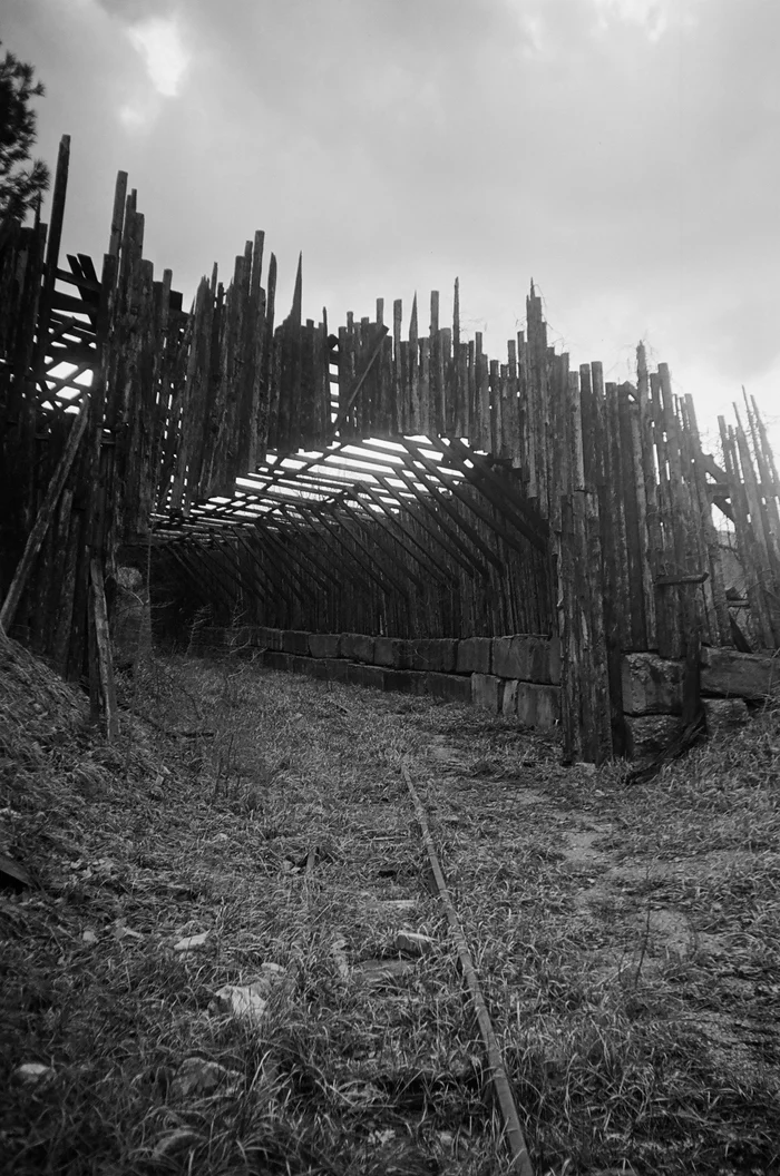 Загадочный тоннель - Моё, Фотография, Черно-белое фото, Узкоколейка, Железная Дорога, Лес, Краснодарский Край, Россия