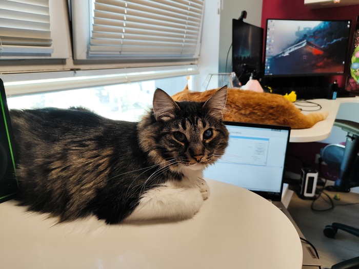 ��� ���� ��� ������