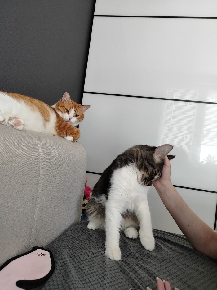 ������ ���� ����� ����� ������������