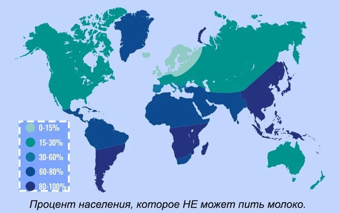 Не пей молоко, а то в теленочка превратишься... - Моё, Молоко, Питание, Здоровое питание, Еда, Нутрициология, Молочные продукты, Видео, Вертикальное видео, Длиннопост