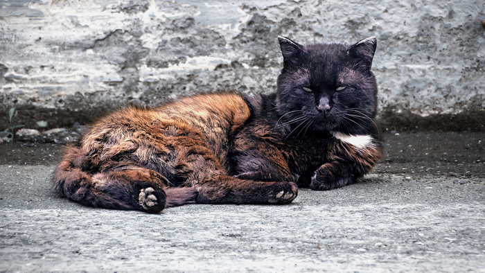 ������ � �����