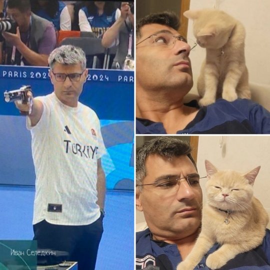 Meme-turned Turkish shooter Yusuf Dikech - cat, Fluffy, Pet the cat, Video, Longpost, Olympic Games, Shooting, Repeat