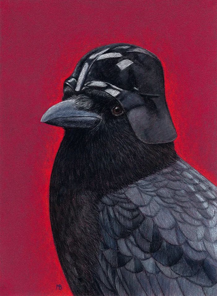 Darth Crow - My, Art, Drawing, Birds, Animalistics, Traditional art, Birds in hats, Crow, Darth vader, Star Wars, Pastel