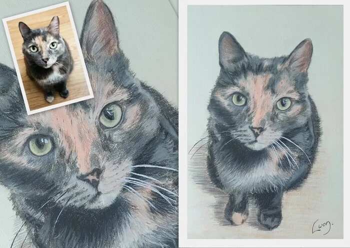 Cat portrait No. 5 I'm good, I'm good - My, Drawing, Pencil drawing, Learning to draw, Painting, cat, Pastel pencils, Pastel crayons, Animalistics, Colour pencils