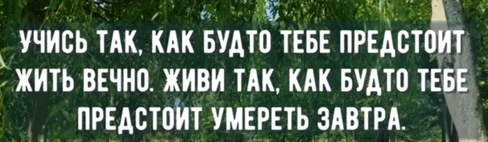 Становись лучшей версией себя вчерашнего.  Живите счастливо сейчас. Лови момент - Картинка с текстом, Бисмарк, Психология, Эзотерика, Совершенство