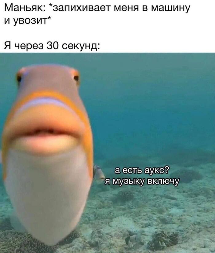 ��� ������ ������