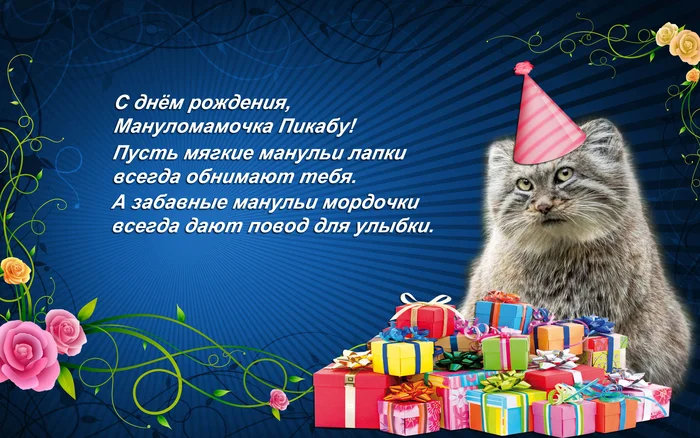 Happy birthday! - Small cats, Zoo, Cat family, Predatory animals, Wild animals, Photoshop, Birthday, Congratulation, Postcard, Pallas' cat