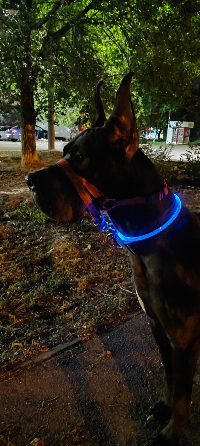 Красоты вам в ленту)