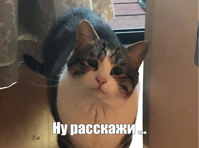 Вот и конец..