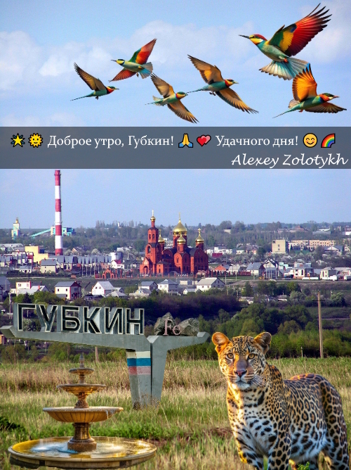 Good morning, Gubkin! Have a good day! - Good morning, Gubkin, Нейронные сети