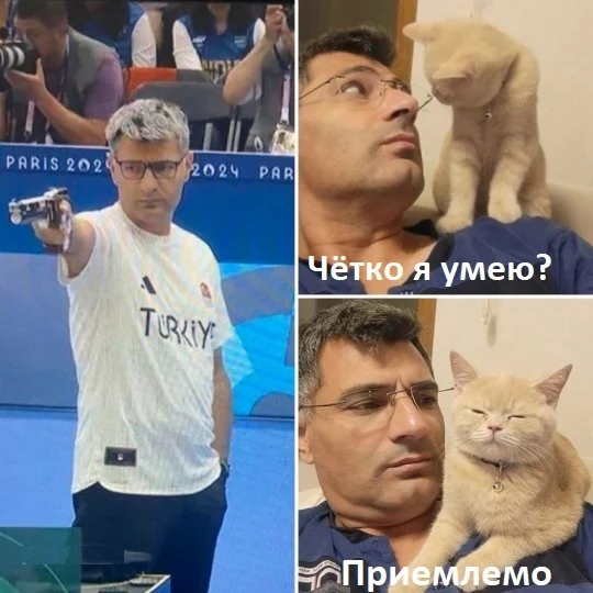 Trainer - Olympic Games, Craftsmanship, Shooting, Fat cats, OK, Medals, Medal of Honor, cat, Yusuf DikeГ§, Picture with text, A wave of posts