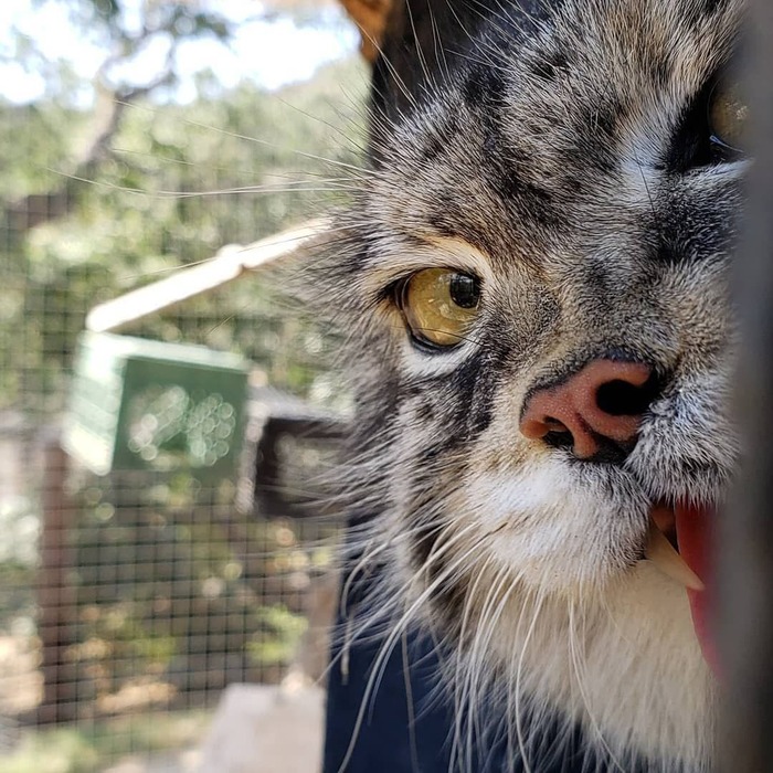 ���, �������! �������, ������� ��!