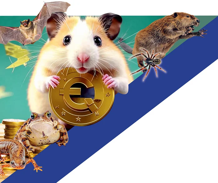 German greens: we will transport hamsters, inexpensively... - Germany, Politics, Green, Nature, Economy, nuclear power station, Industry, Longpost