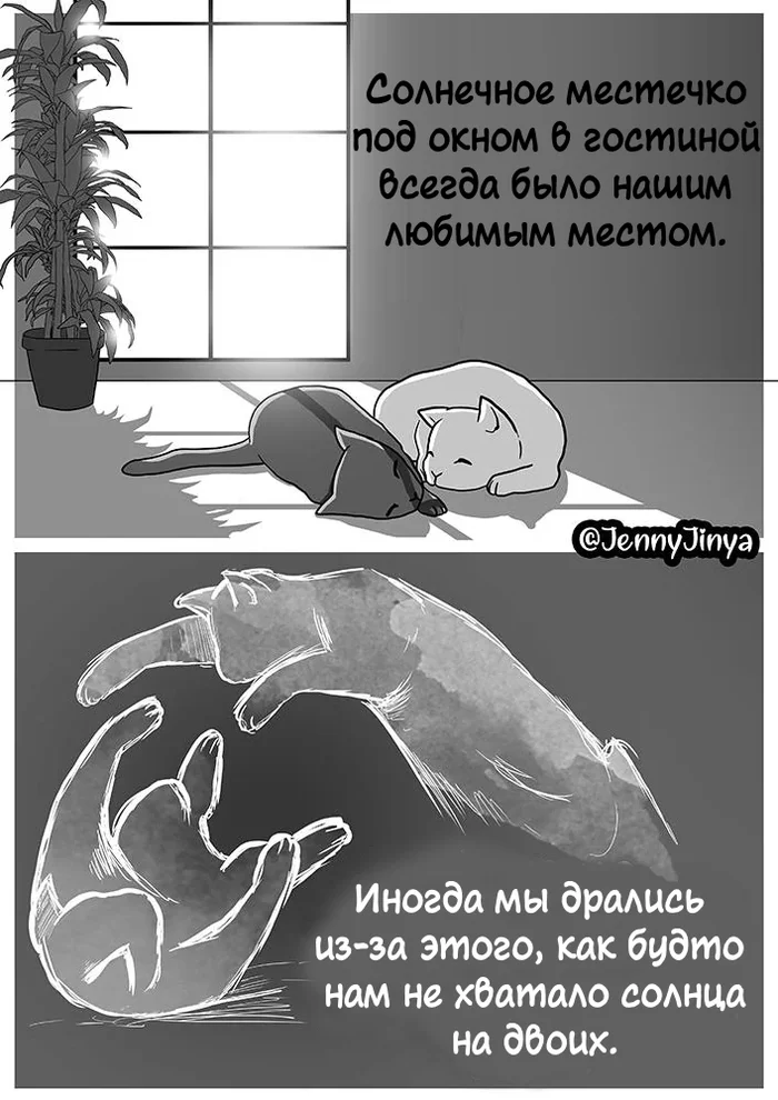 Sun - My, Translated by myself, Comics, Sadness, cat, Death, The sun, Pets, JennyJinya, Longpost, Negative