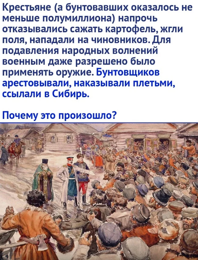 Riots against potatoes in Rus': why the peasants did not want to eat and plant potatoes - Riot, Negative, Potato, Picture with text, Rus, Longpost