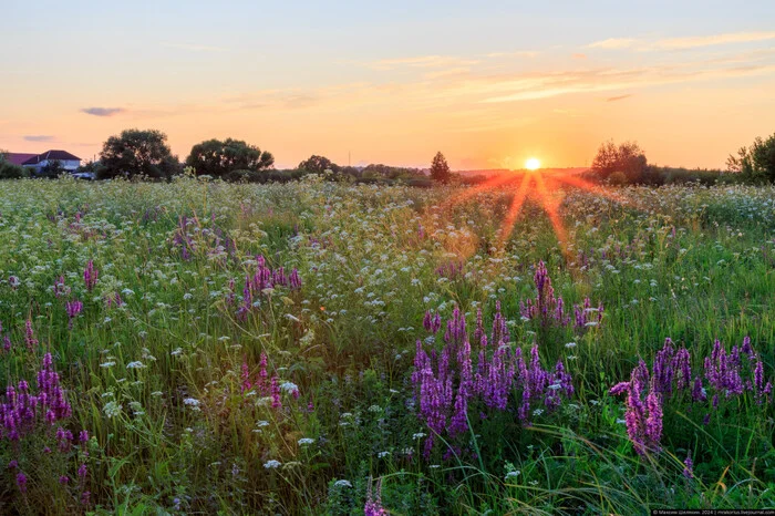 July sunset - My, The photo, Sunset, Landscape, Longpost, Summer, Nature