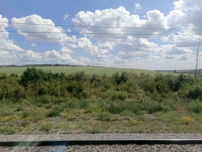  , , Windows XP,  , 