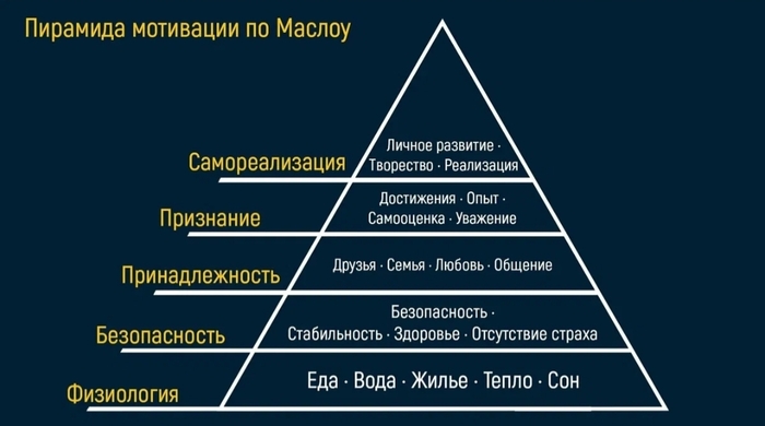 Ответ на пост «Я училась 23 года и поняла, что моя специальность никому не нужна»