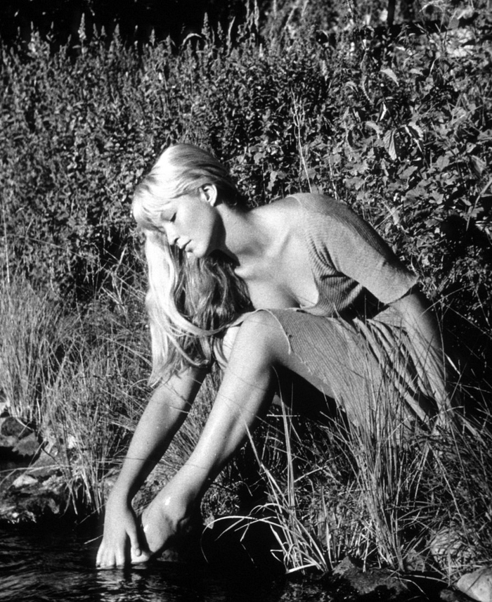  ,    ,    &quot;&quot; (1956 )