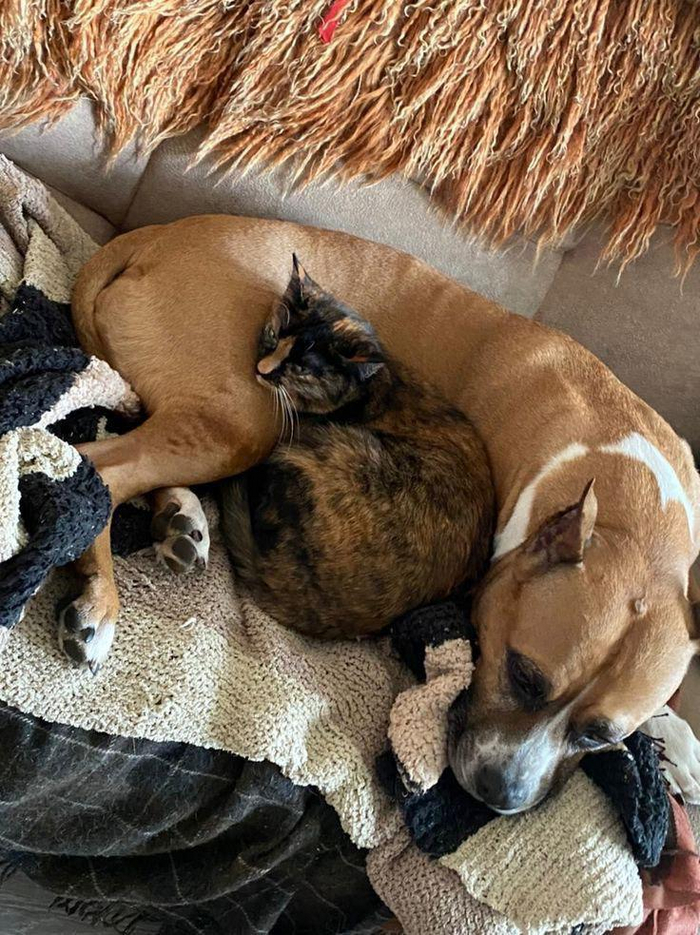 Что-то стало холодать...