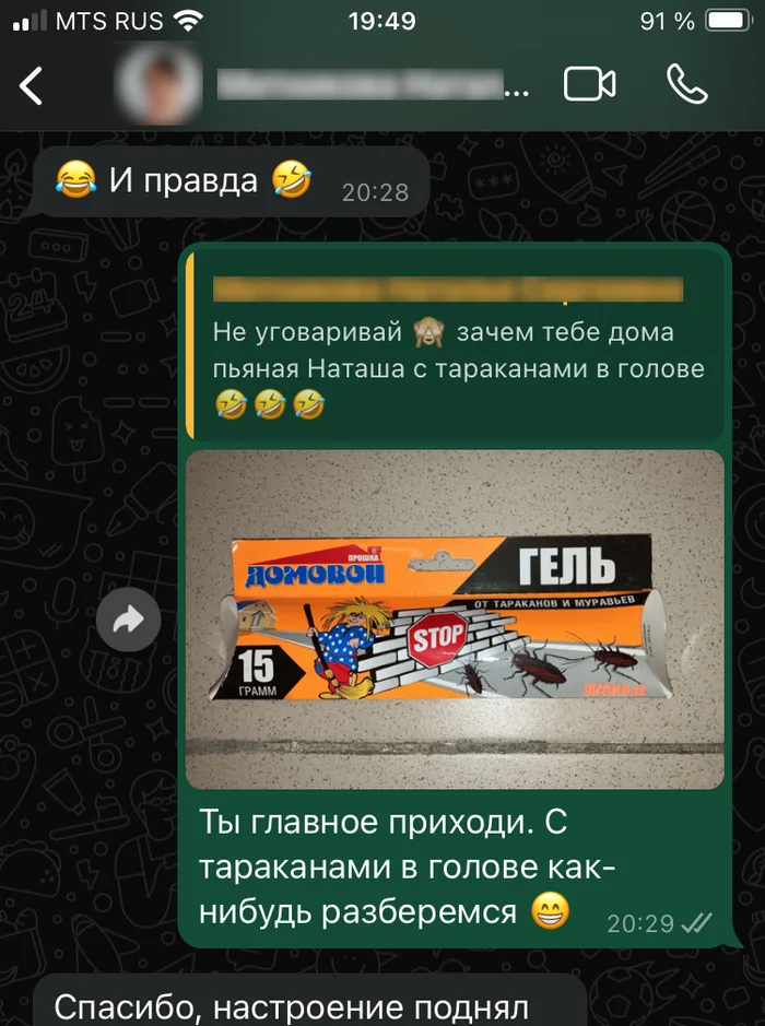 Наташа и тараканы - Моё, Whatsapp, Переписка, Тараканы, Диалог, Гель, Домовой