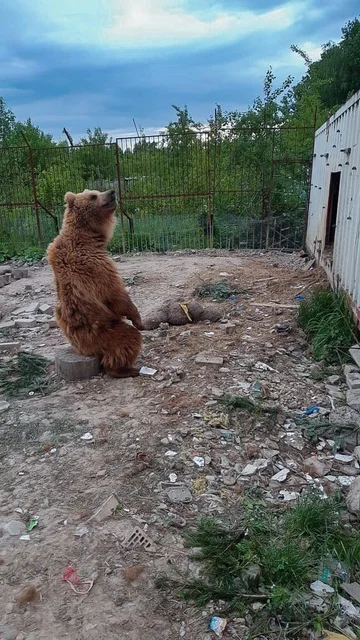 Спонсоры - Моё, Благотворительность, Спасение животных, Дикие животные, Спонсор, Спасибо, Удивительные люди