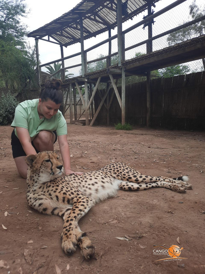 -.     100%.   ,        ,      .