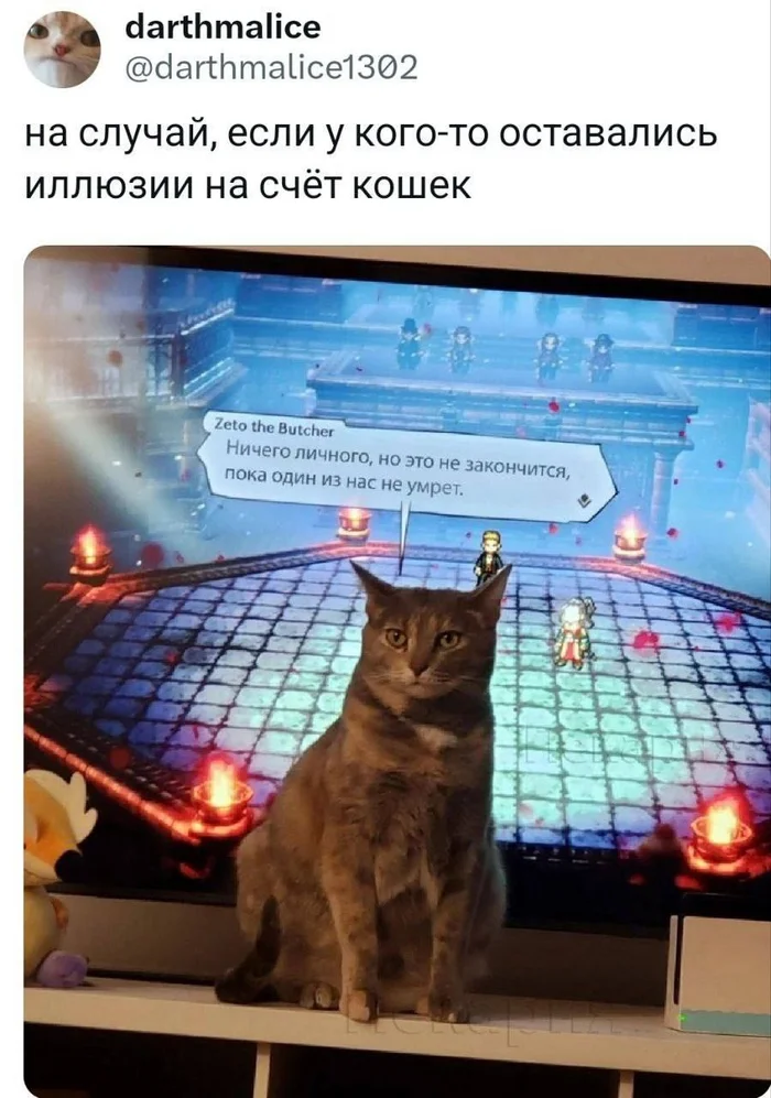 Laughter therapy is an integral part of Human Technical Support. Just like humor is an integral part of me. - My, Laughter (reaction), Therapy, Memes, Longpost