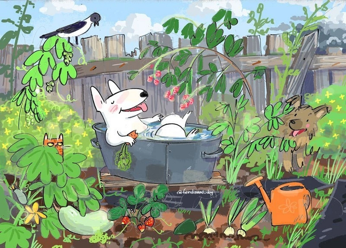 ������ �������