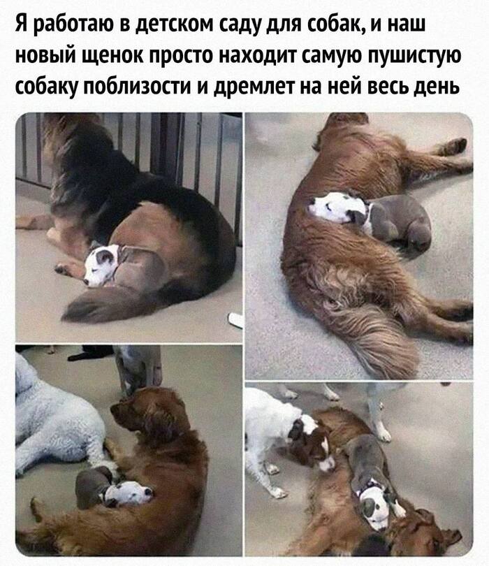 Как устроиться на такую работу?